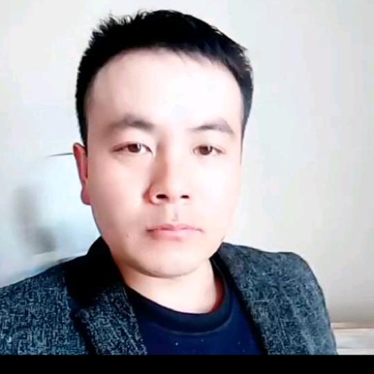泰山上的蝉