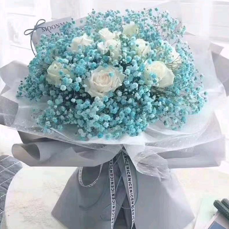 简简单单的生活