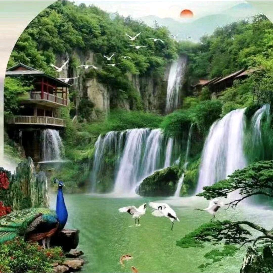 随心♥随缘