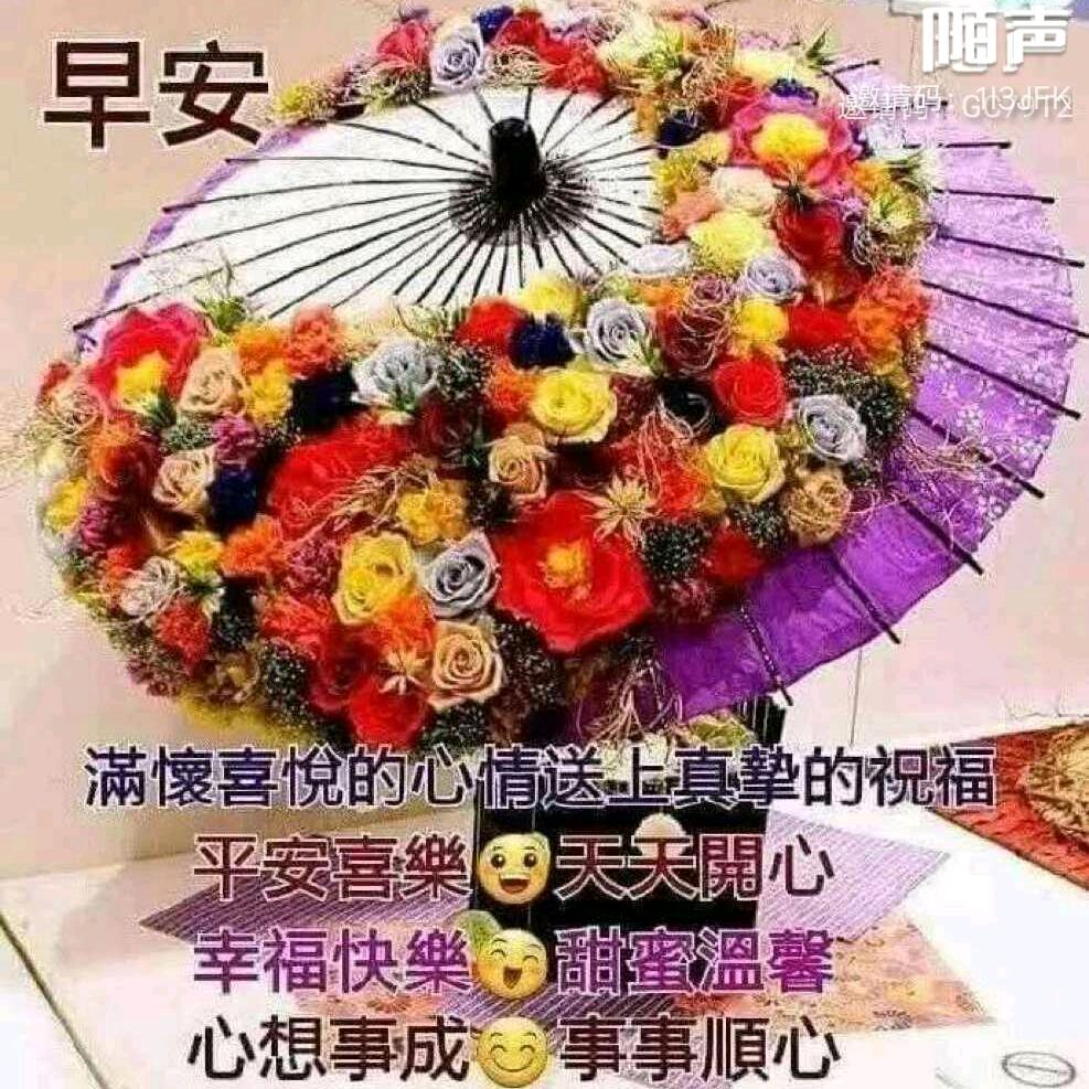 浩子哥