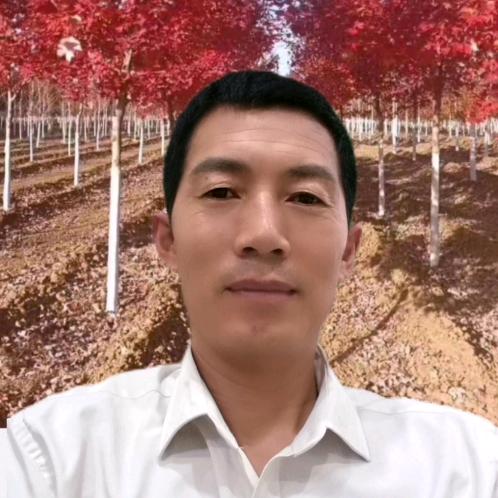 两宝特效