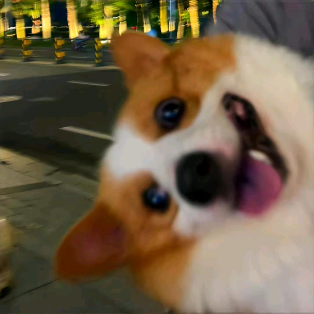 快乐的啾啾