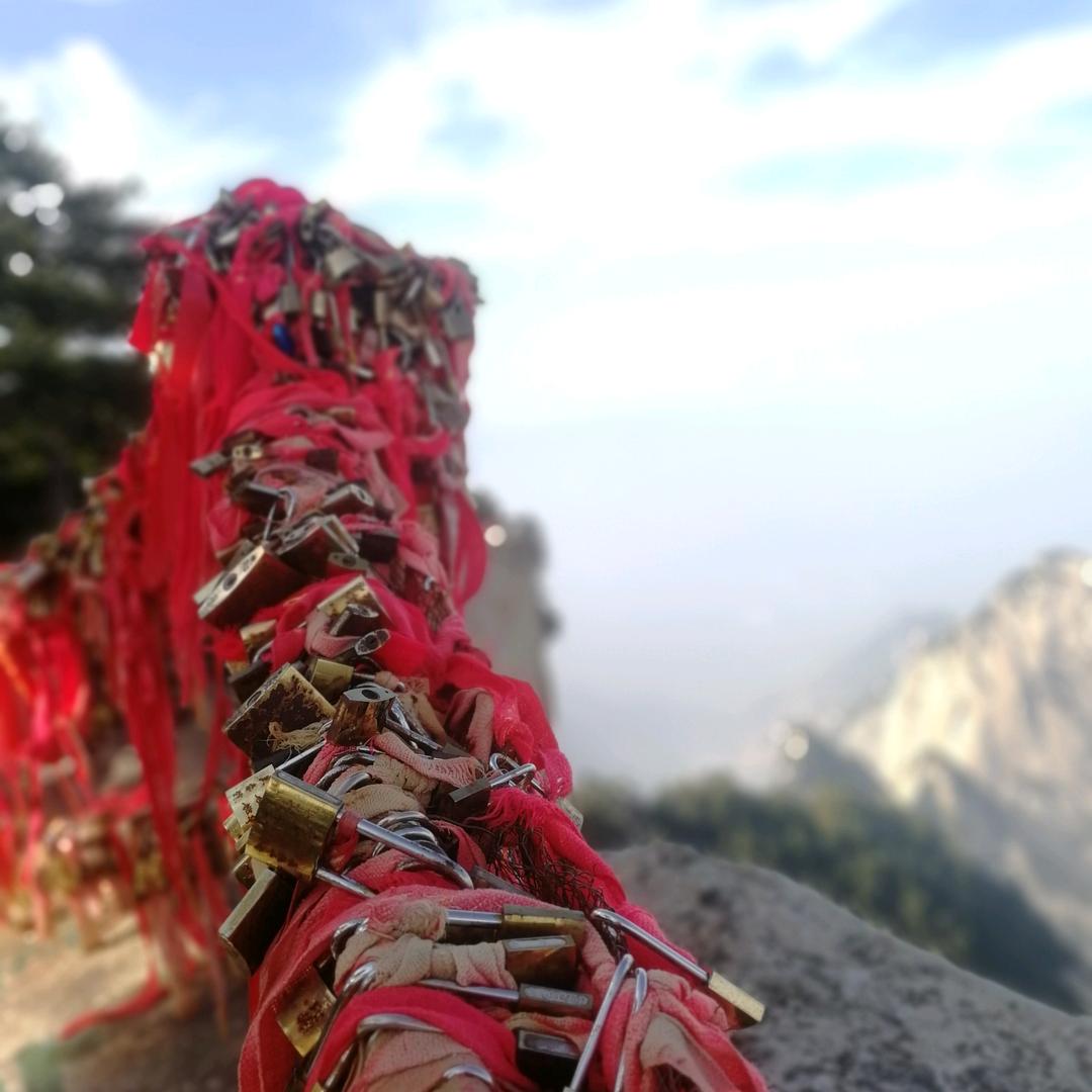 🌈骚而不浪🌈