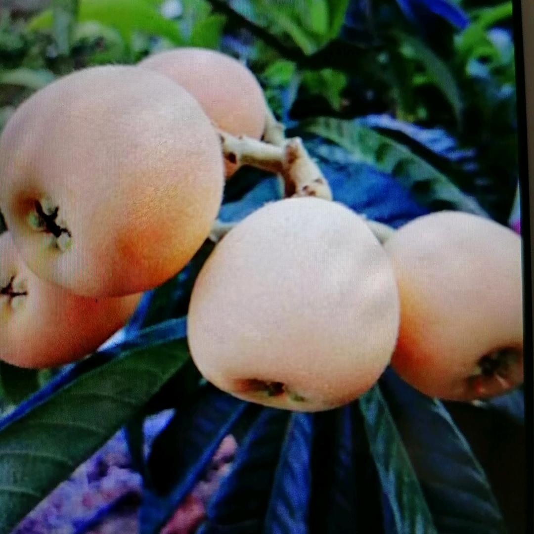 永驰