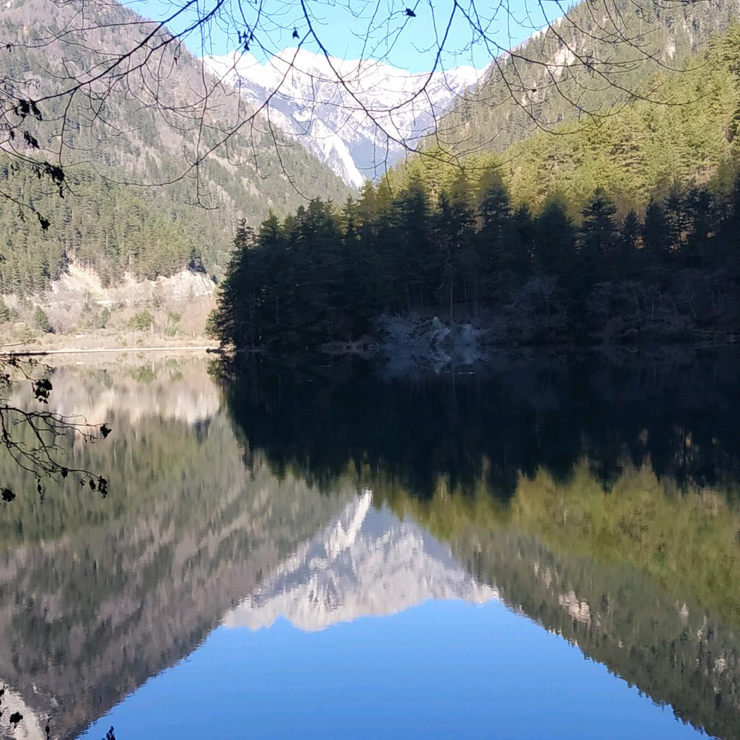 用户639064山鹰