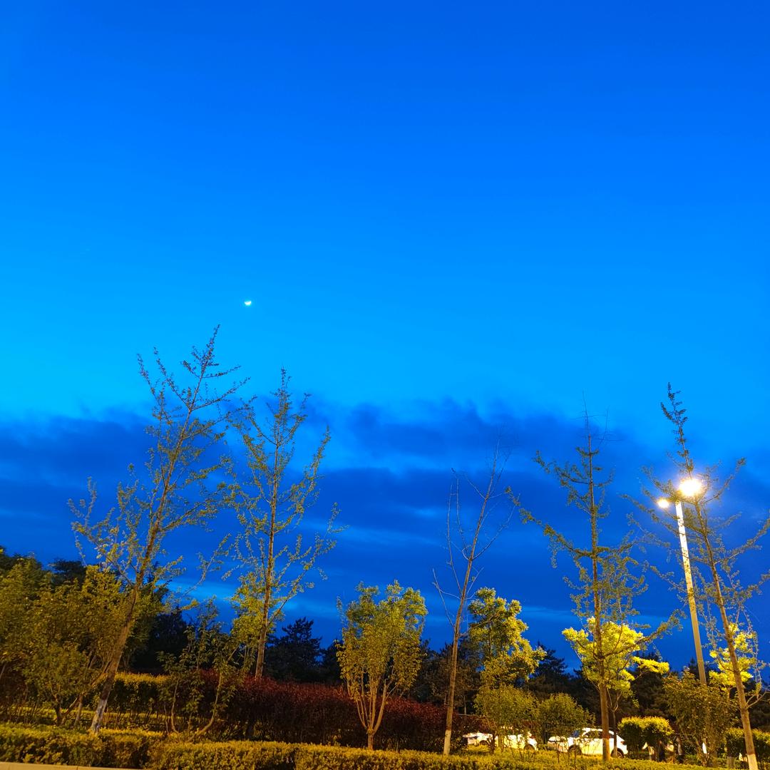 海海