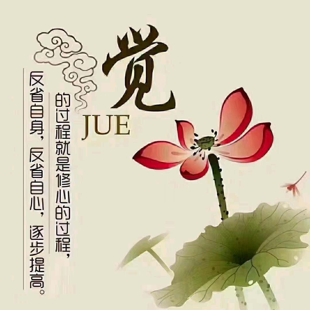 梦