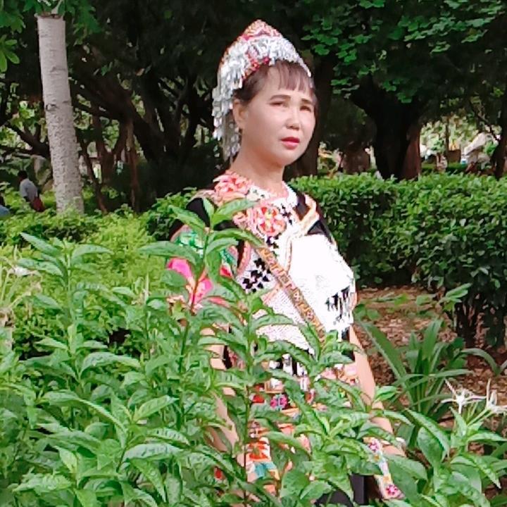 照英