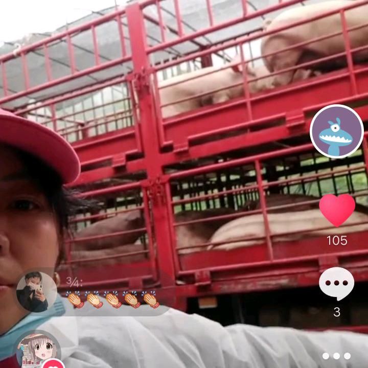 天天向前进