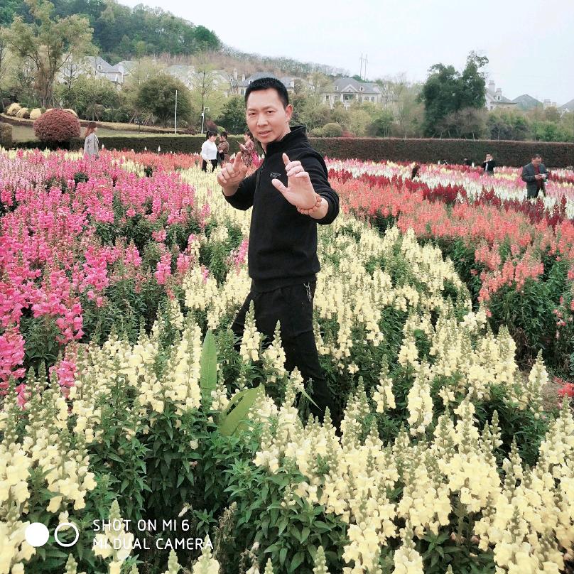 快乐浪人