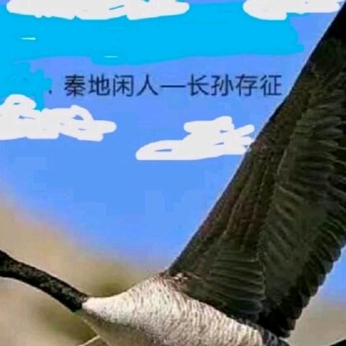 秦地闲人（长隼sun）