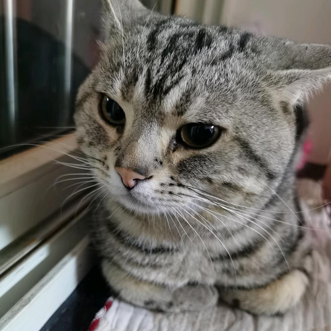 Miss 童