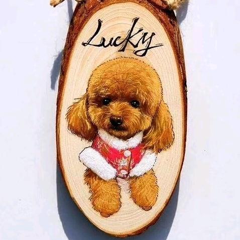 Lucky小幸运