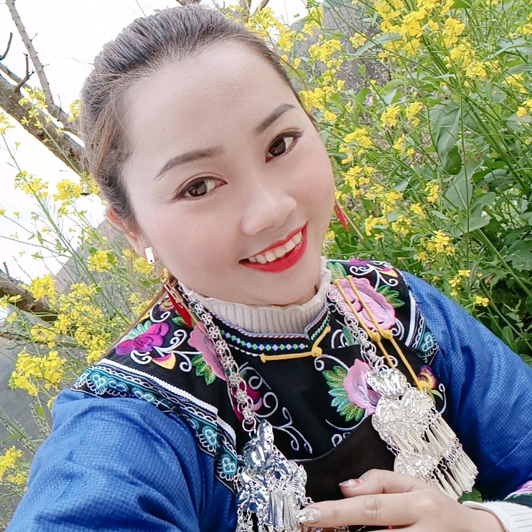 布依小钻