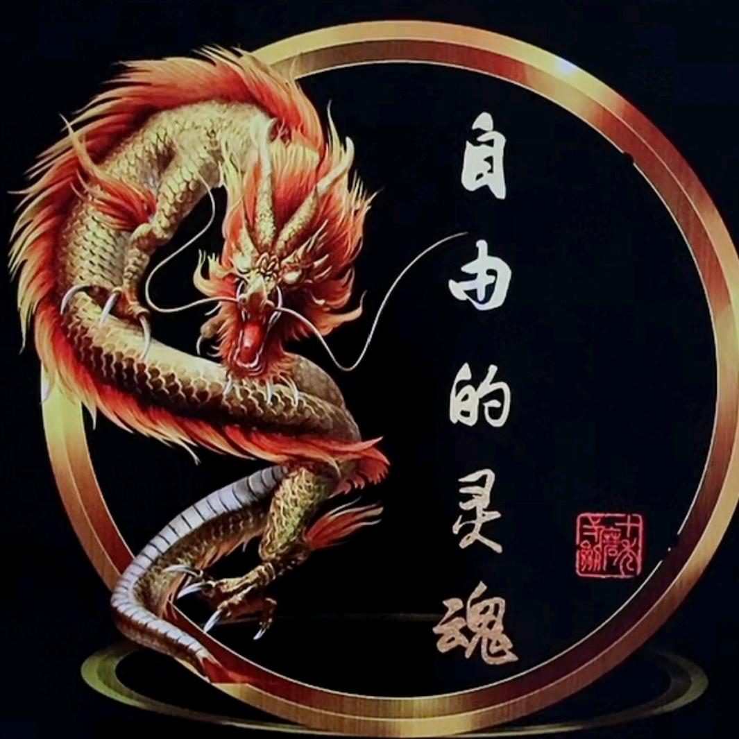 自由的灵魂