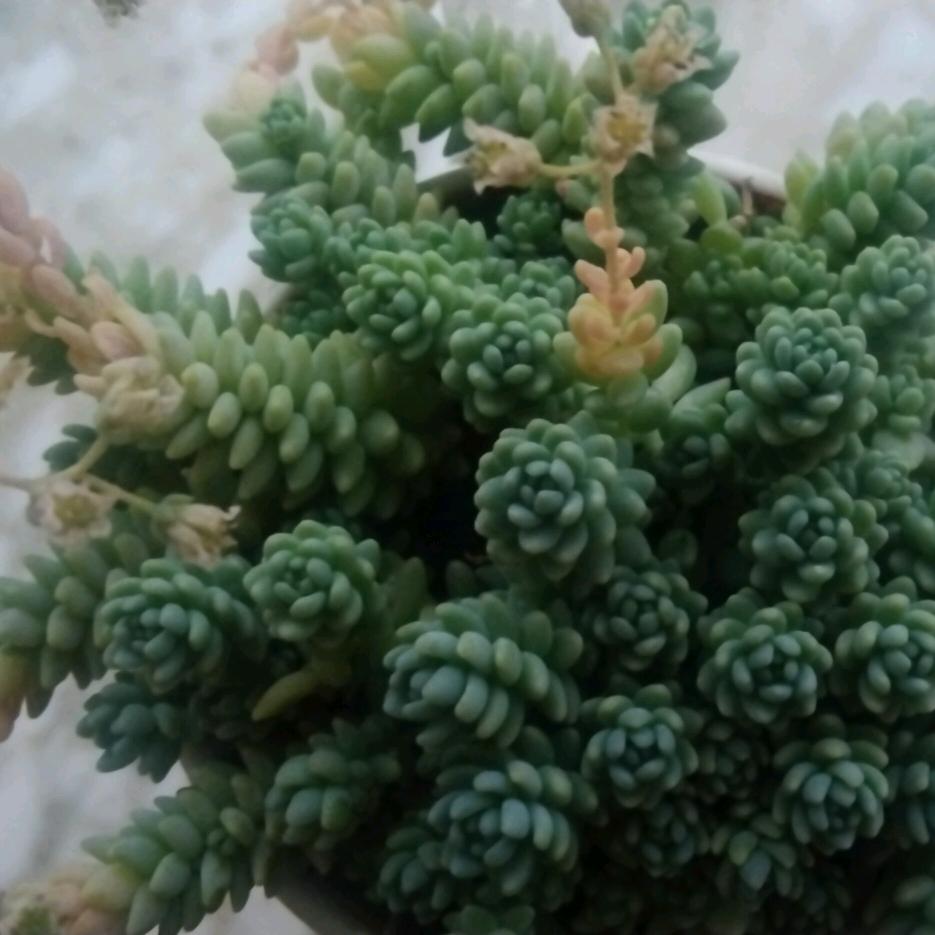 飘逸