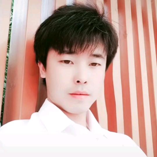 王载元
