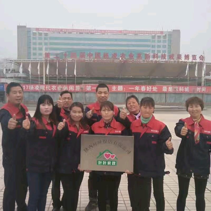 房屋装修，吊顶，专业美缝。