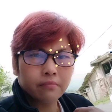 星向太阳