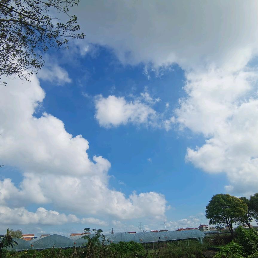 南通化学丁老师