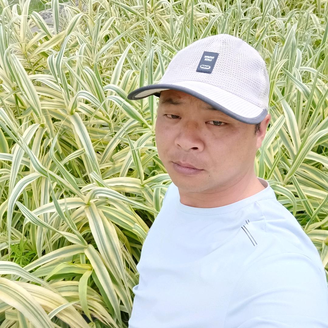 我是一个烧烤哥