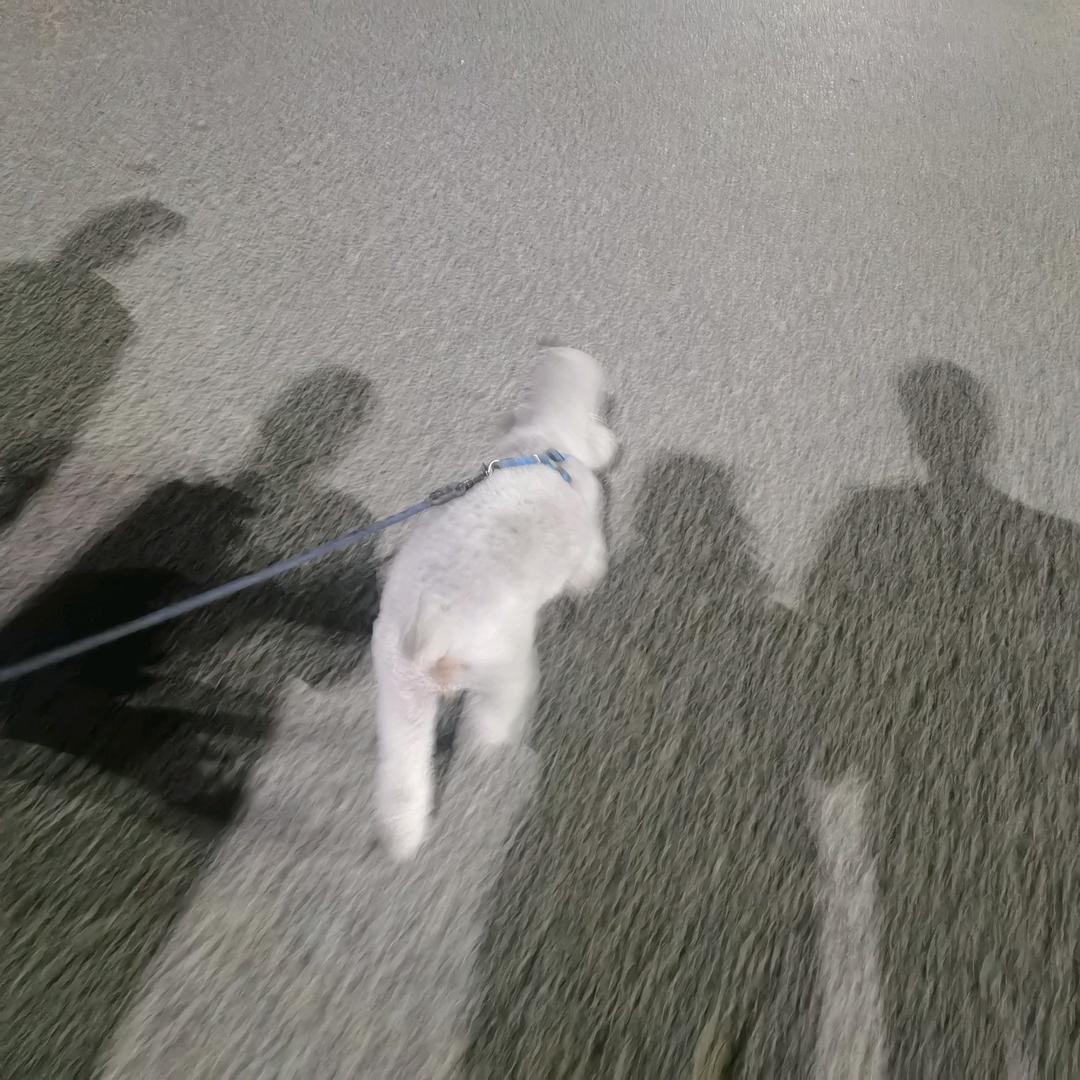 小鱼鱼鱼鱼