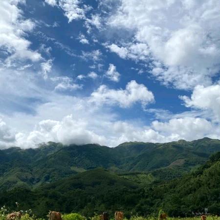 有你🌹🌹很幸福