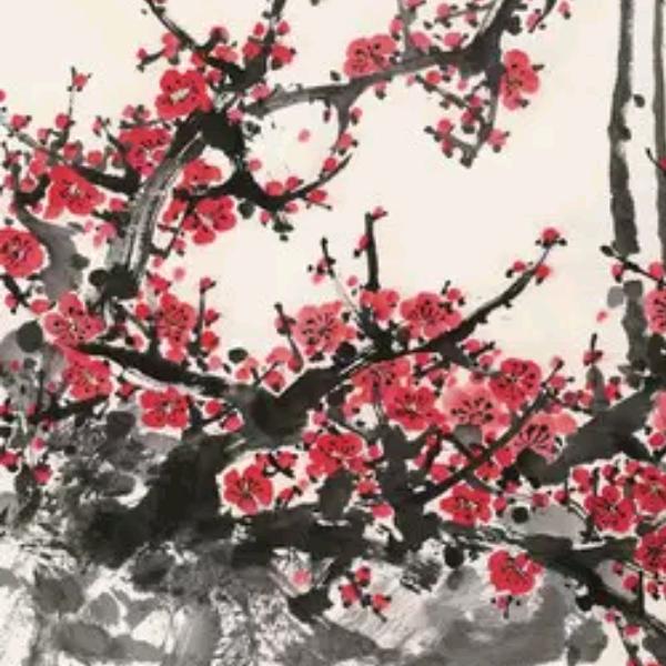 雨中的百合