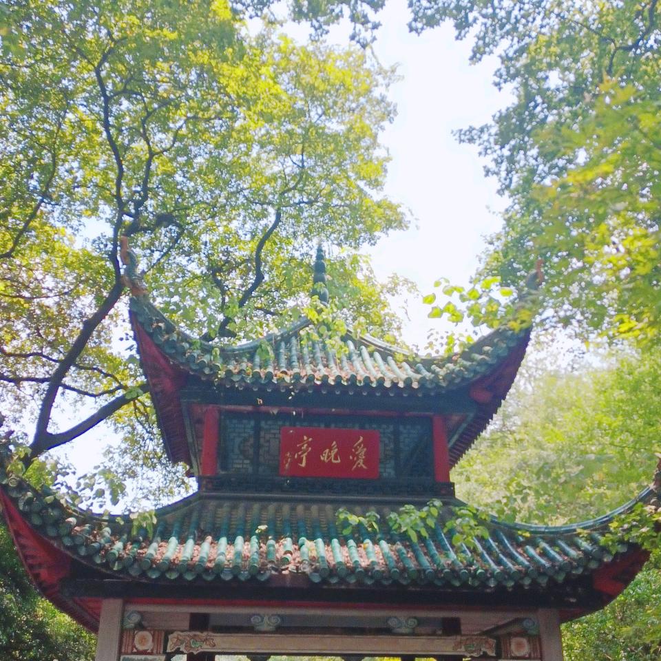 粉可哪咤