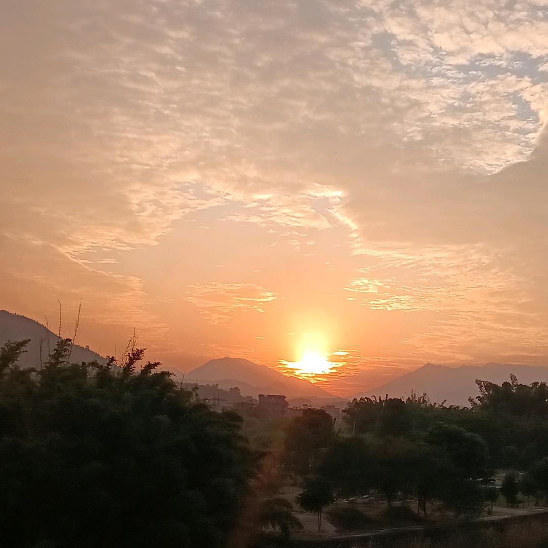 家庭煮夫(≧∇≦)/