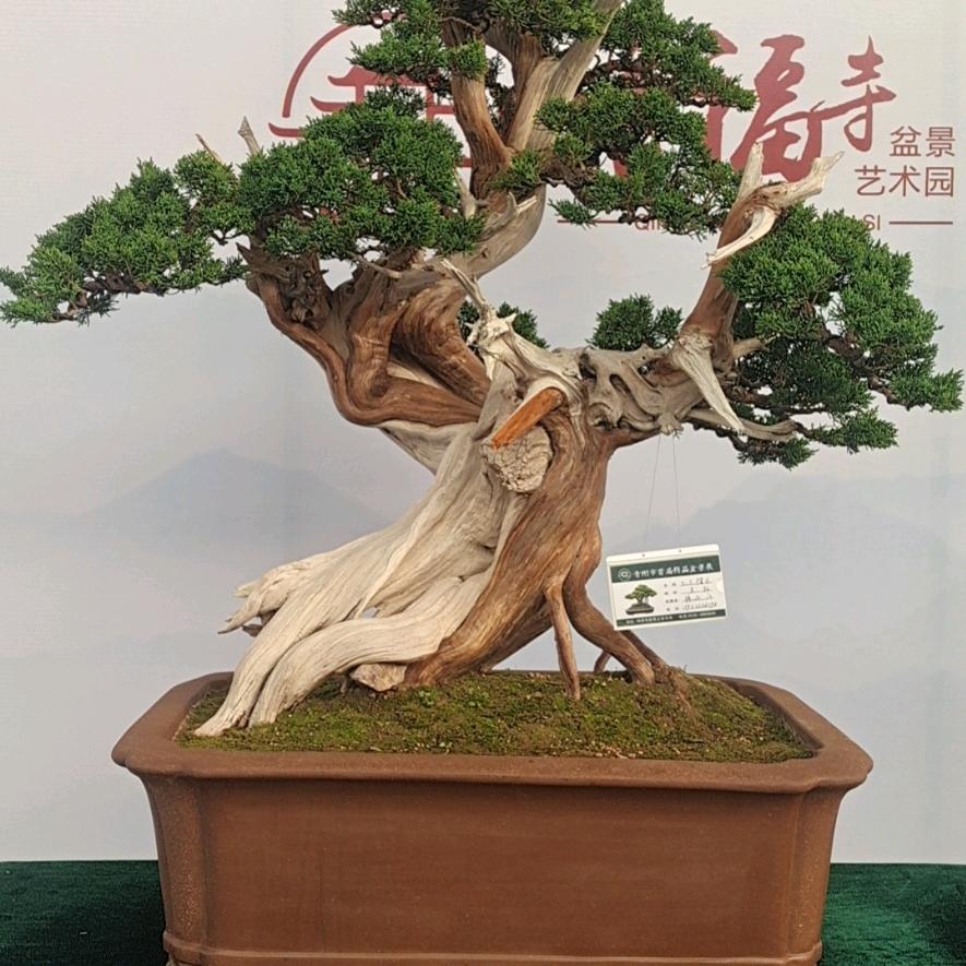 三山盆景园