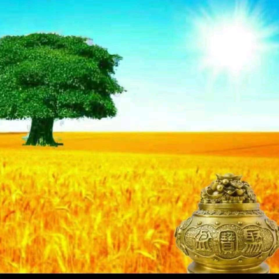 沐霖（好人一生平安）