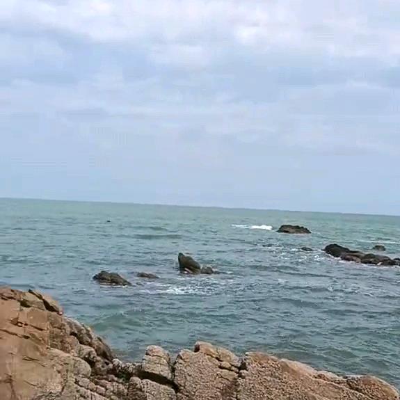 侯海洋