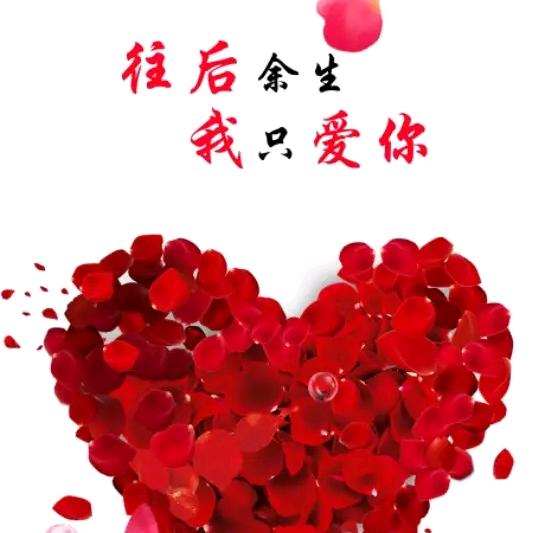 🌹无怨无悔🌹