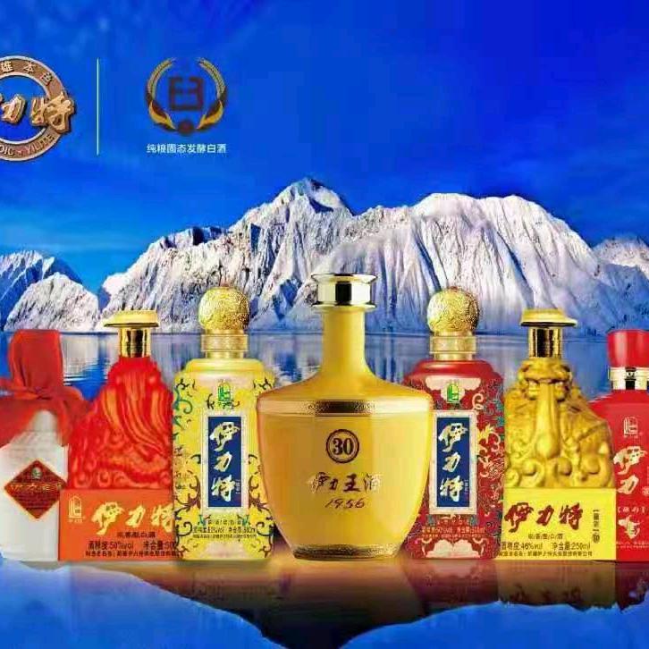 天涯海角任我浪