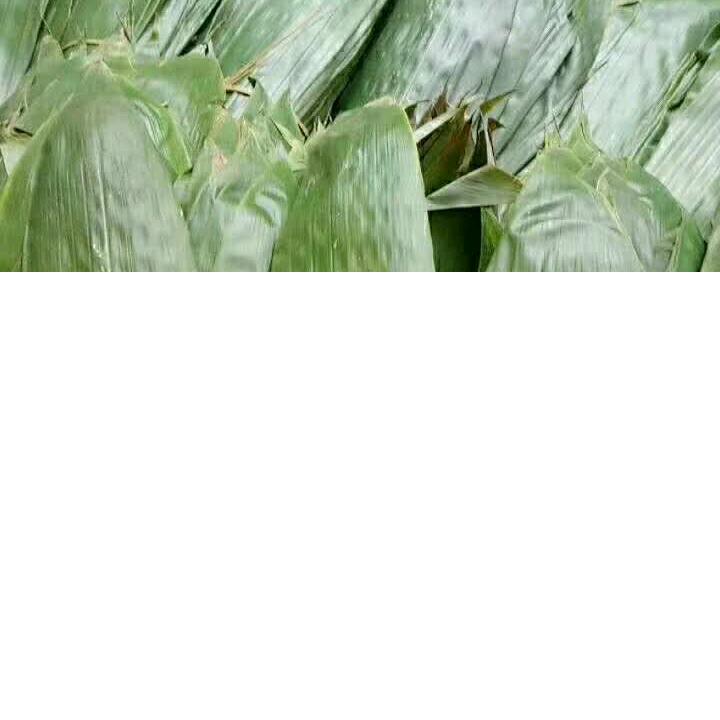 粽乡念