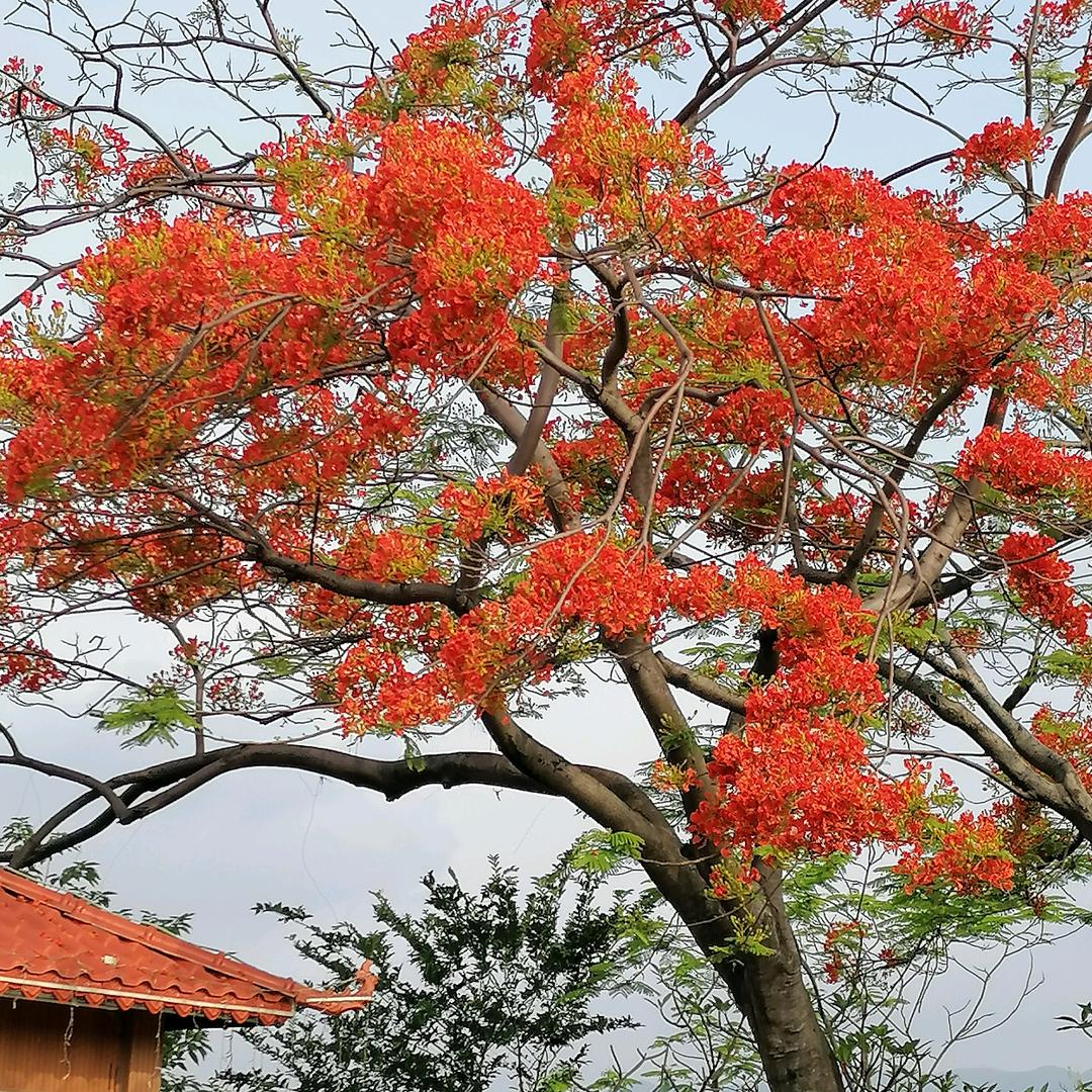 用户知l足常乐🏜🌻7819614