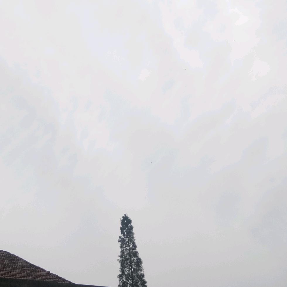 家庭日用必备品百货铺