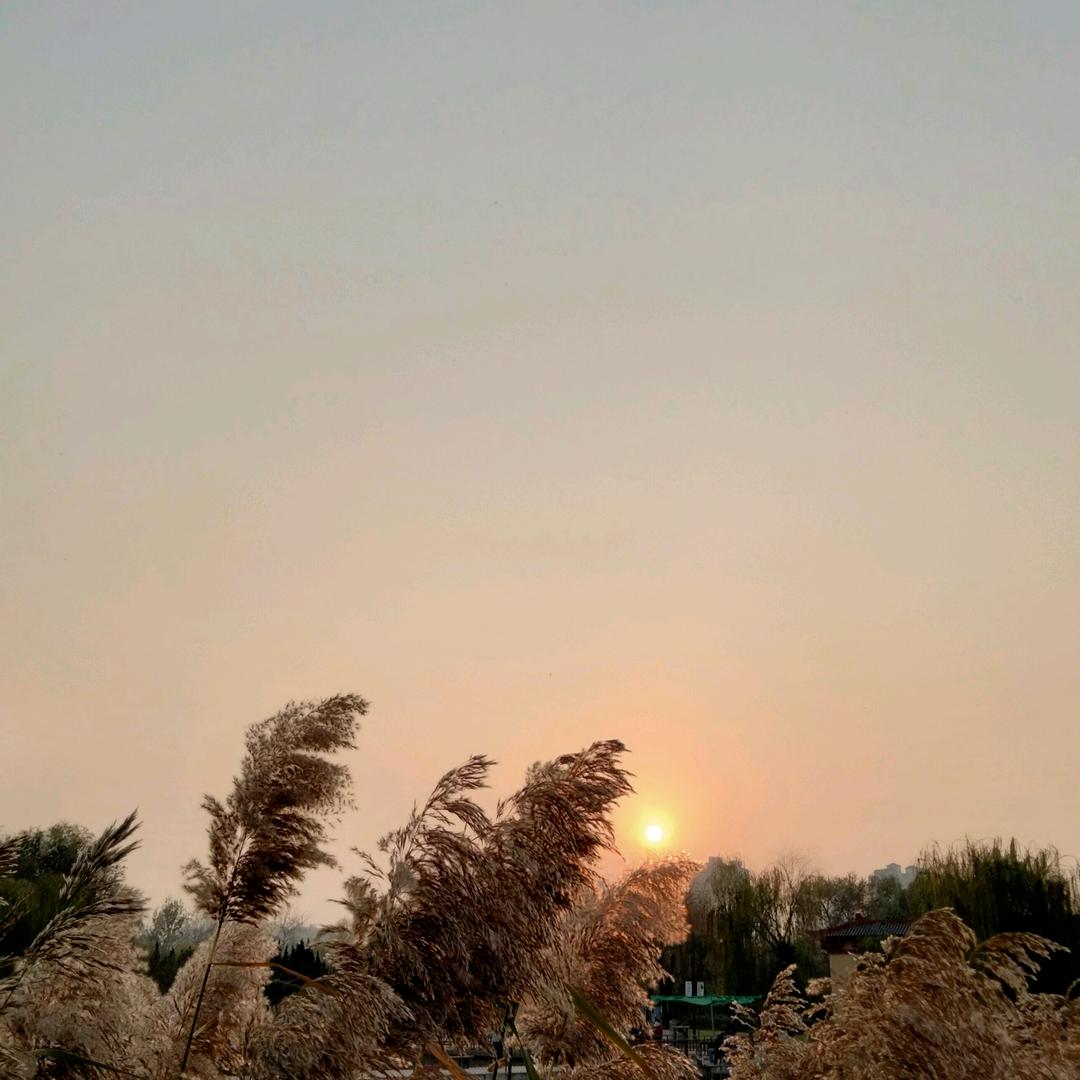 曦曦