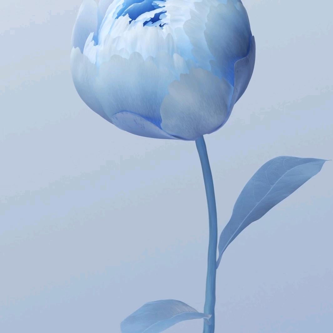 木棉花的春天