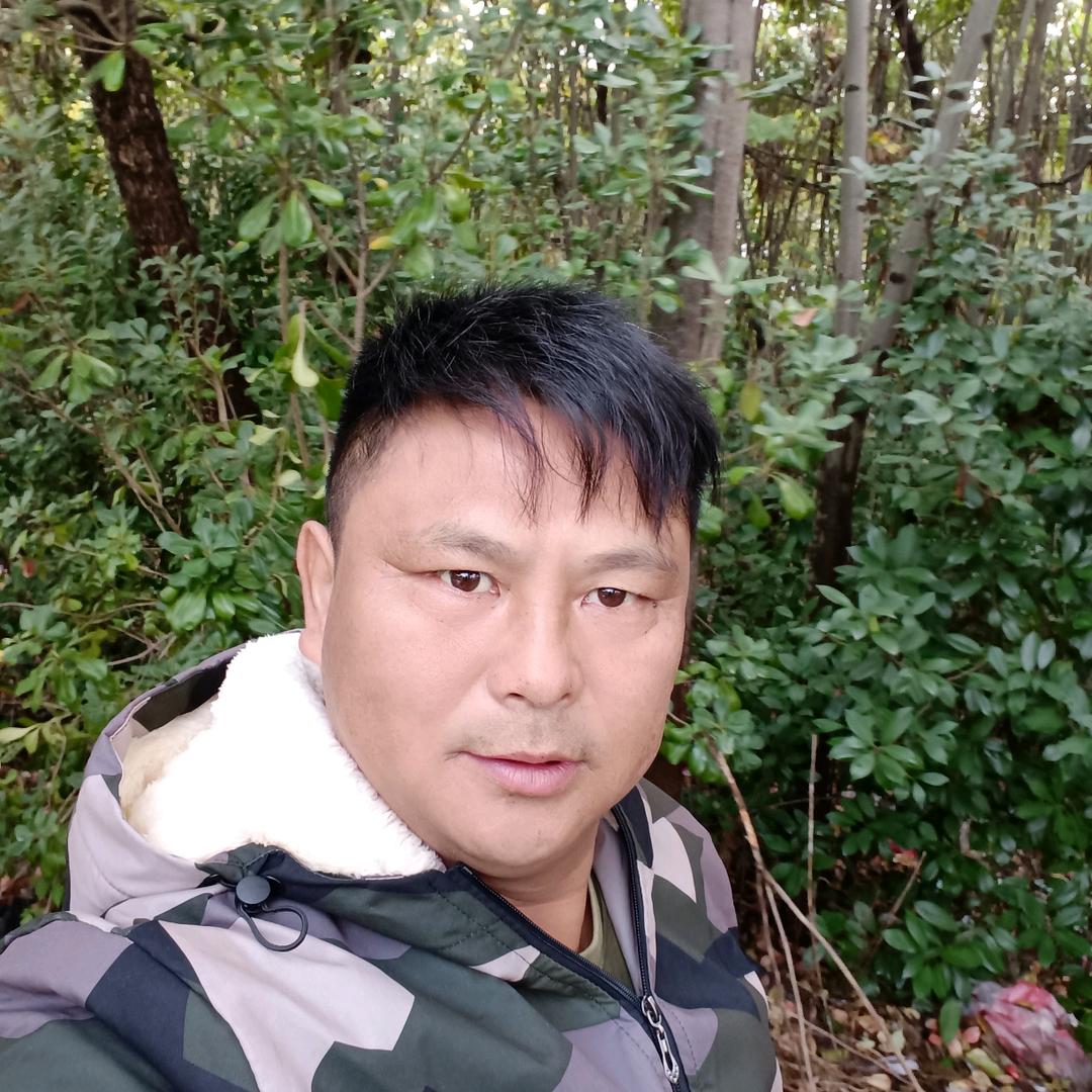 李哥。