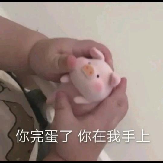阔爱看❤