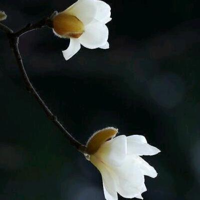 慢热👄