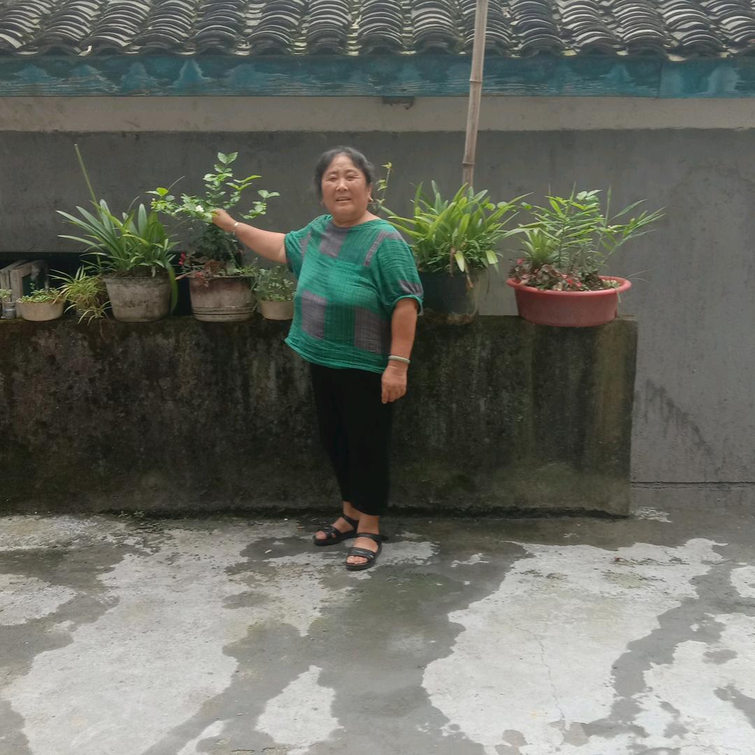 吴大姐