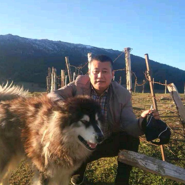 石下描