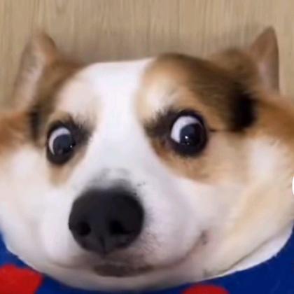 鼻屎拌饭加个蛋