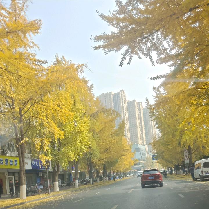 嘢蠻學校淘汰生