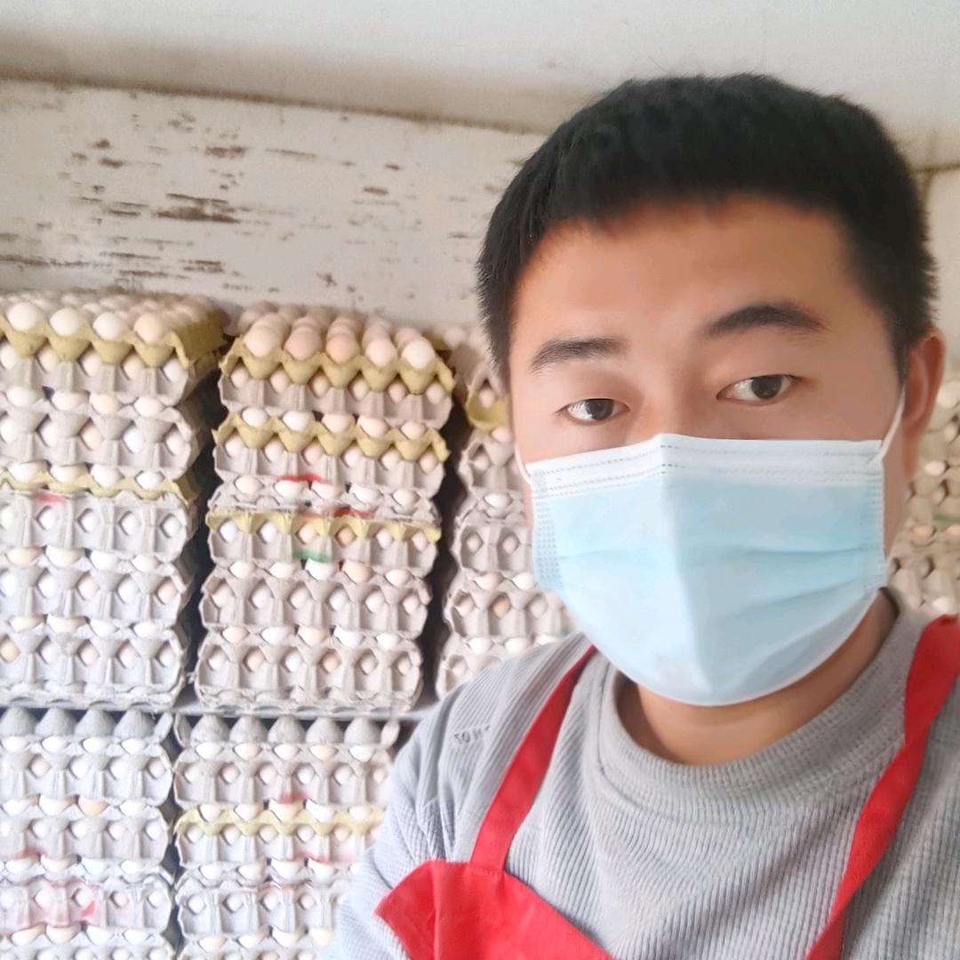 毛蛋一哥（十元自助）
