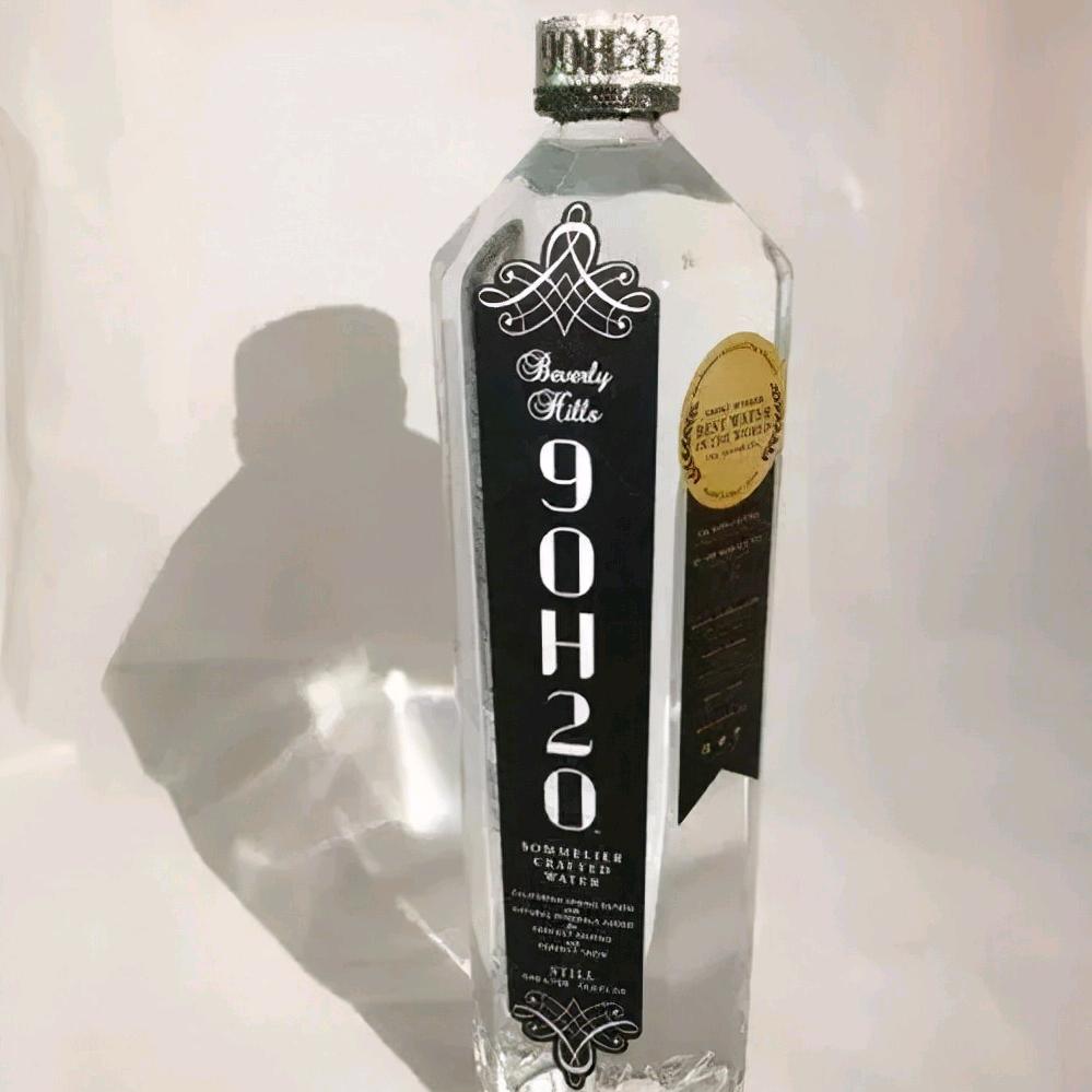 骑驴追宝马