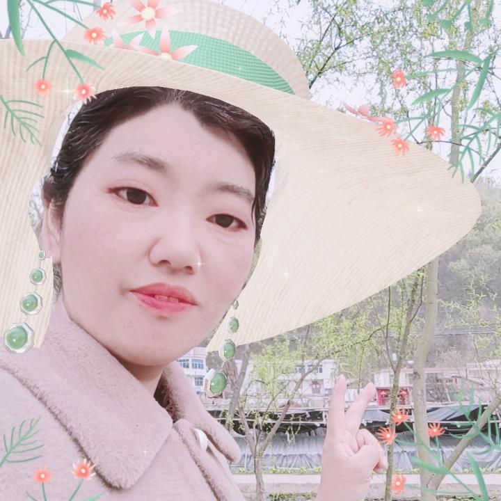 🎄💐🎄静心听雨🌲💐🌲